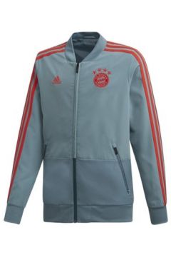 Veste enfant adidas FC Bayern Munich Junior(127903081)