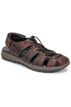 Sandales Clarks BRIXBY COVE(127926071)