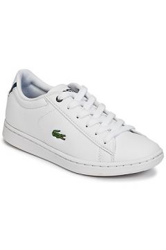 Chaussures enfant Lacoste CARNABY EVO BL 1(127946287)
