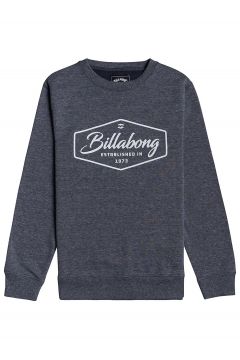 Billabong Trademark Crew Sweater blauw(126872907)
